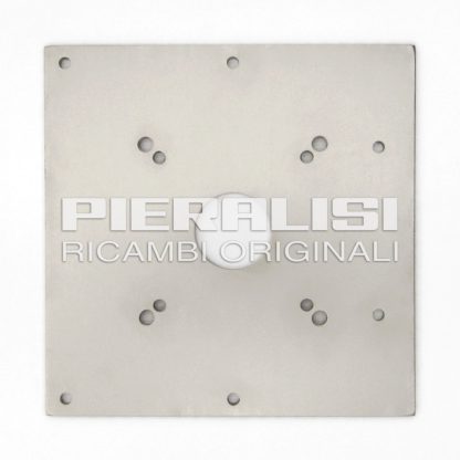 PIASTRA PER MOTORIDUTTORE COCLEA D.200 INOX
