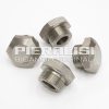 PLUG P60 IN AISI 304 - Image 3